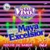 Download track Mis Exitos: Golondrina / Prisionero De San Juan De Ulua (El Preso) / Sal Y Agua / La Cuna [En Vivo]