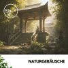 Download track Himmlische Träume Weben