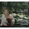 Download track Violin Concerto D-Dur Op. 77 - 1. Allegro Non Troppo