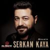 Download track Dım Dım Yar