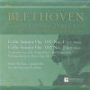 Download track Violoncello Sonata Op. 102 No. 2 In D Major - I. Allegro Con Brio