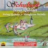 Download track String Quintet In C Major, Op. 163, D. 956: II. Adagio (Arr. For String Orchestra) [Live]