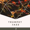 Download track Trumpet - Where You Can Not Go Back