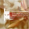 Download track Remember To Forget (Michael Mind Project Radio Edit)