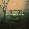 Download track Devil’s Backbone Blues