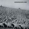 Download track RGC Dub 1