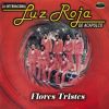 Download track Falsas Caricias