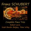 Download track Piano Trio No. 2 In E-Flat Major, Op. 100, D. 929: No. 1, Allegro