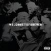 Download track Common Logic / Midnight Marauder