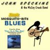 Download track Mosquito-Bite Blues
