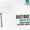 Download track 10. Sonata III En La Mineur. Adagio