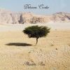 Download track Maze