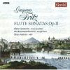 Download track 15. Sonata V In D Major - II. Allegro