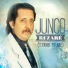 Download track Angelitos Negros