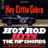 Download track Little Deuce Coupe