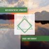 Download track A Light Reprieve