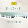 Download track Brahms: 16 Waltzes, Op. 39-9. In D Minor
