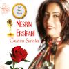 Download track Sensiz Olmadı