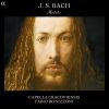 Download track Der Geist Hilft Unsrer Schwachheit Auf, BWV 226- Du Heilige Brunst, Susser Trost