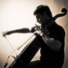 Download track III. Finale (Allegro Moderato - Andante - Allegro Vivo)