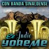 Download track Un Indio Quiere Llorar
