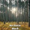 Download track Return To Normal