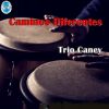Download track Concierto En La Luna