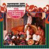 Download track Incense And Peppermints