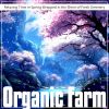 Download track Awakening Earth In Harmony