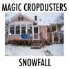 Download track Falling Snow