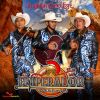 Download track Que Ganas De Volver