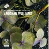Download track Fantasia On Greensleeves