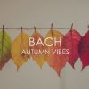 Download track Suite No. 2 In B Minor, BWV 1067: 7. Menuet