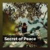 Download track Music For Removing Negative Thoughts