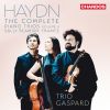 Download track Piano Trio No. 34 In B-Flat Major, Op. 36 No. 3, Hob. XV: 20: III. Finale. Allegro