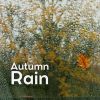 Download track Rain Invocation