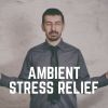 Download track Peaceful Work Music For Concentration