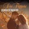 Download track Weiße Rose Im Sommerwind