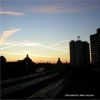 Download track The King Is Dead!