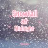 Download track Snowstorm In Silence