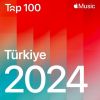 Download track Ağlama Ben Ağlarım