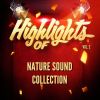 Download track Nocturnal Wasteland Sounds 2: Toads, Nighthawks And Crickets