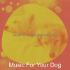 Download track Marvellous Ambience For Separation Anxiety