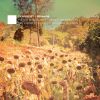Download track Introduction And Variations On Trockne Blumen. Op. 160. D. 802: I. Introduction. Andante
