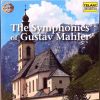 Download track Symphony No. 2: I. Allegro Maestoso. Mit Durchaus Ernstem Und Feierlichem Aus...