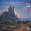 Download track Organ Sonata No. 4 In B-Flat Major, Op. 65 IV. Allegro Maestoso E Vivace (Arr. For Piano By Karl-Andreas Kolly)