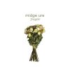 Download track Fragile
