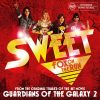 Download track Fox On The Run (Single Version)