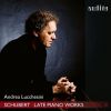 Download track 08. Piano Sonata No. 19 In C Minor, D. 958 IV. Allegro