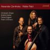 Download track Clarinet Trio In D Minor, Op. 3 (Alexander Von Zemlinsky): I. Allegro Ma Non Troppo